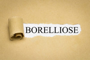 Robert Franz Borreliose